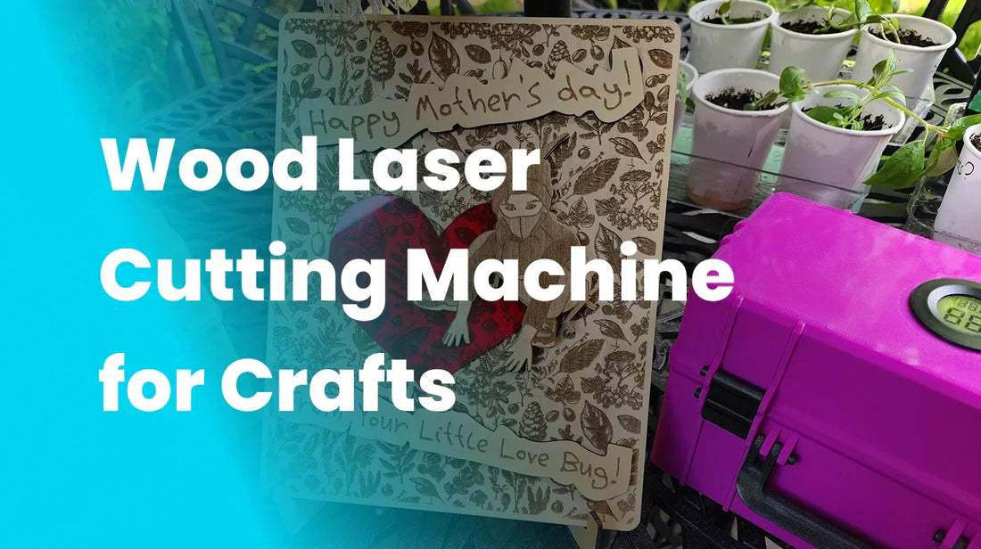 Wood Laser Cutting Machine for Crafts: Our Real User Story