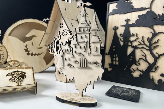 crealityfalcon laser engraver work display